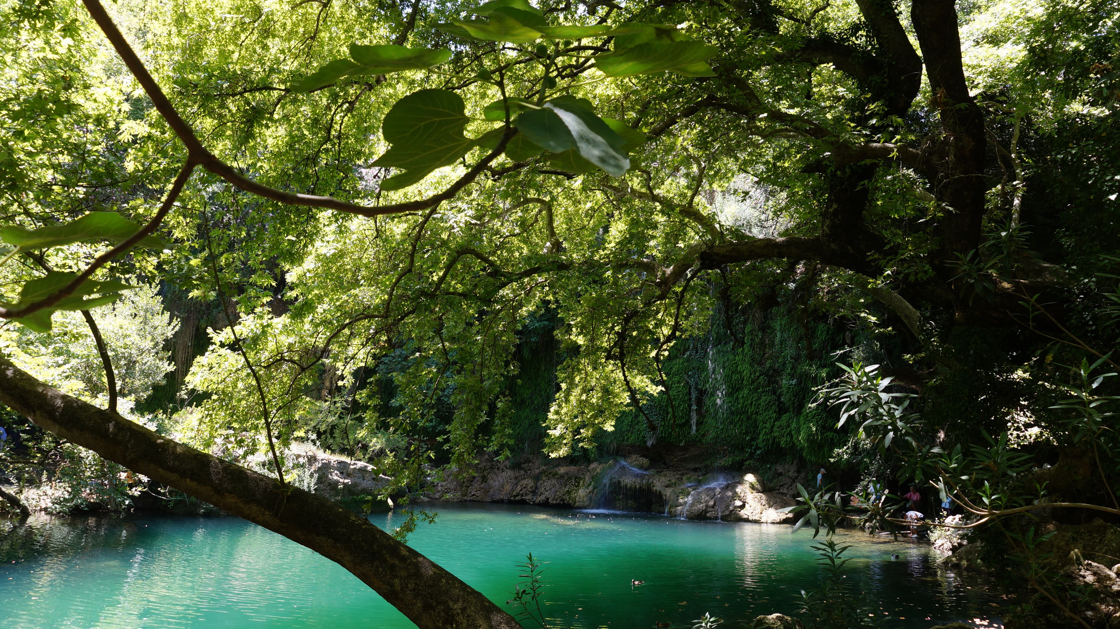 Turquoise water under a tree canopy in Kursunlu
